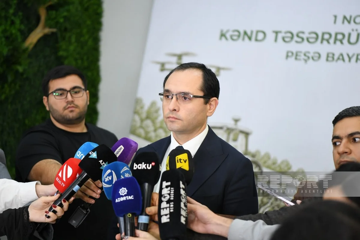 Məcnun Məmmədov: "Azərbaycanda ərzaqlıq buğda istehsalı 170 min tonu ötüb"