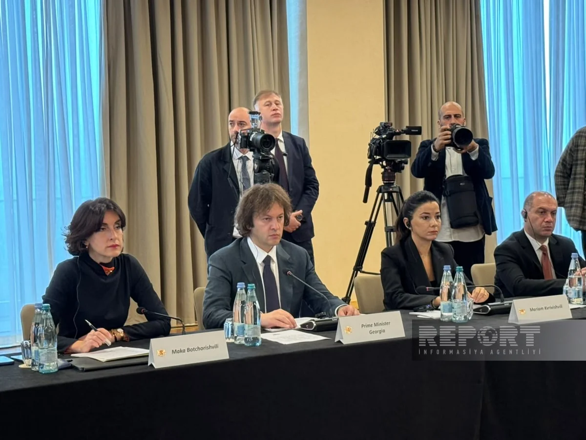 Kobaxidze: Azərbaycanla həyata keçirilən layihələr Avropanın enerji təhlükəsizliyinə töhfə verir